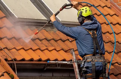 Démoussage et hydrofuge de toiture à Ménesqueville